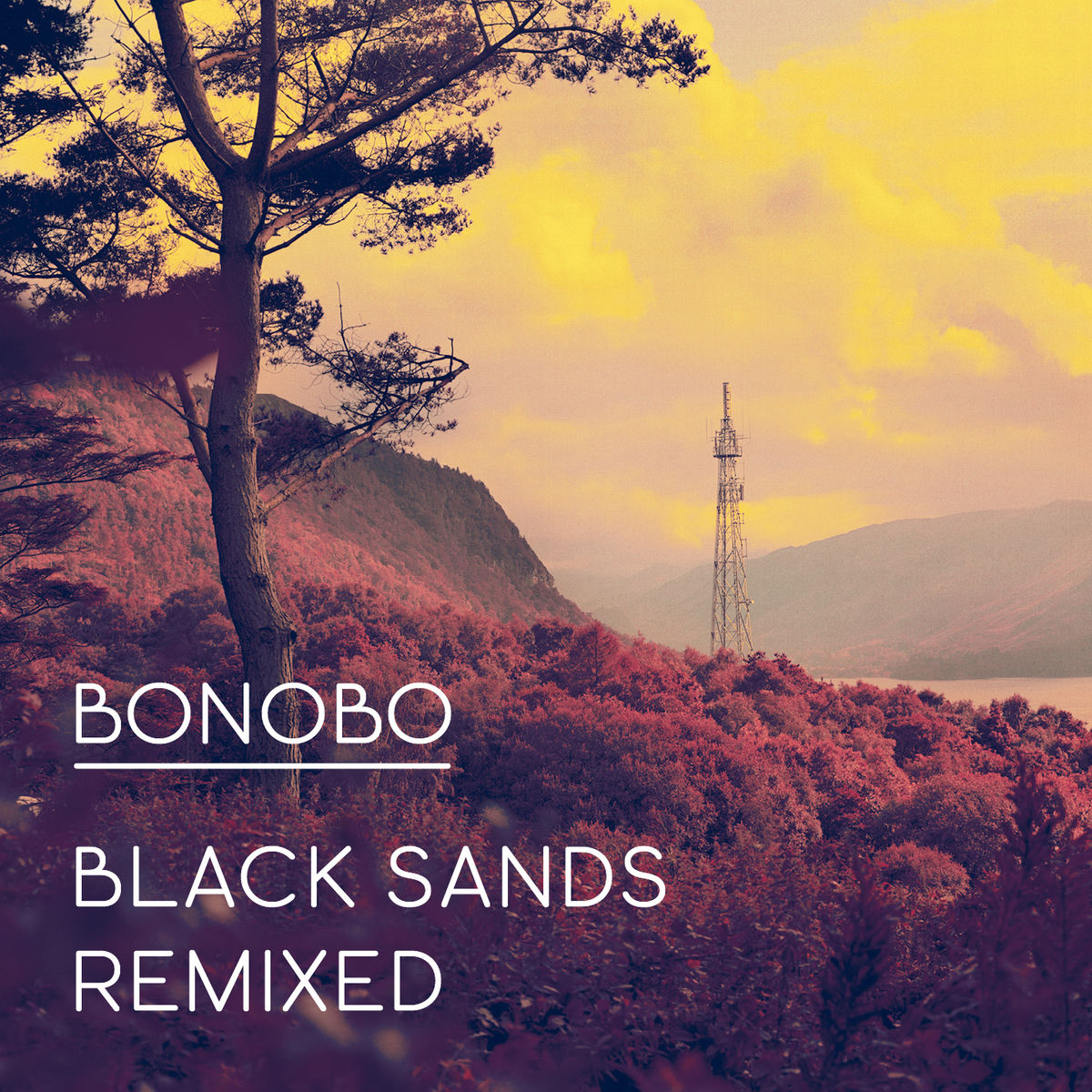 Bonobo/Andreya Triana - Eyesdown (Floating Points Remix)