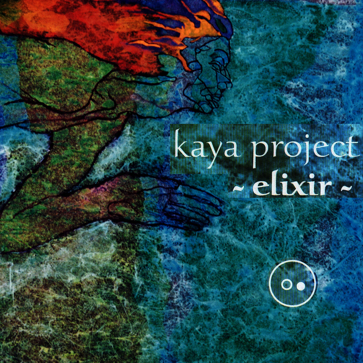 Kaya Project - Raag to Ragga
