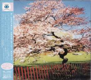 A Reminiscent Drive - New Jerusalem