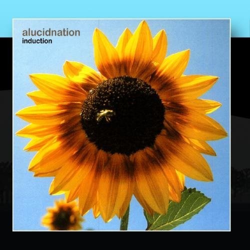 Alucidnation - Suspended On Air