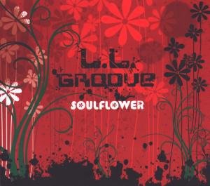 L.L.Groove - The Shine