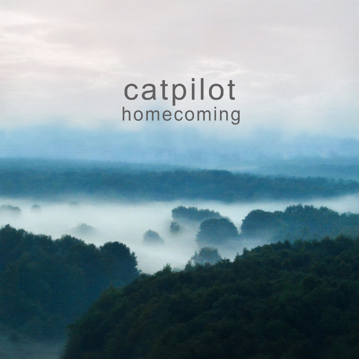 Catpilot - However